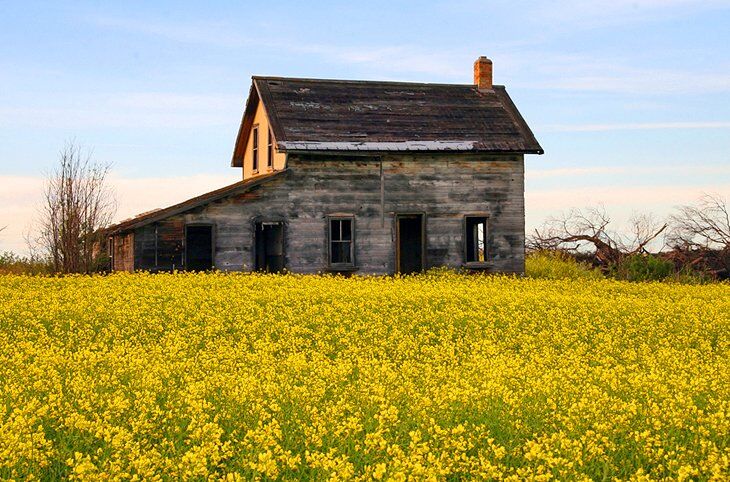 Latest Saskatchewan PNP Draw invited 259 Candidates